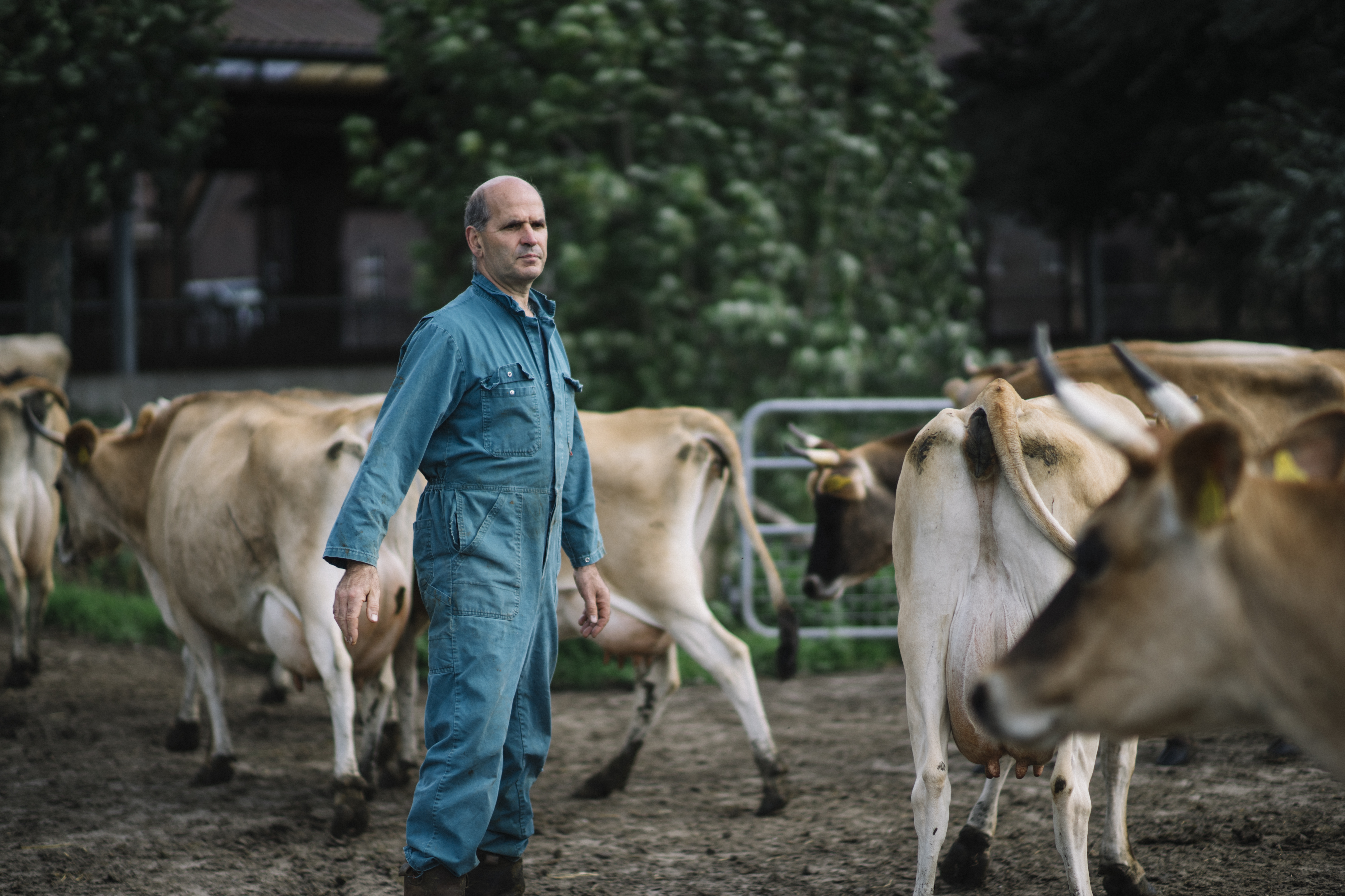Jan Dirk van de Voort tussen zijn dieren